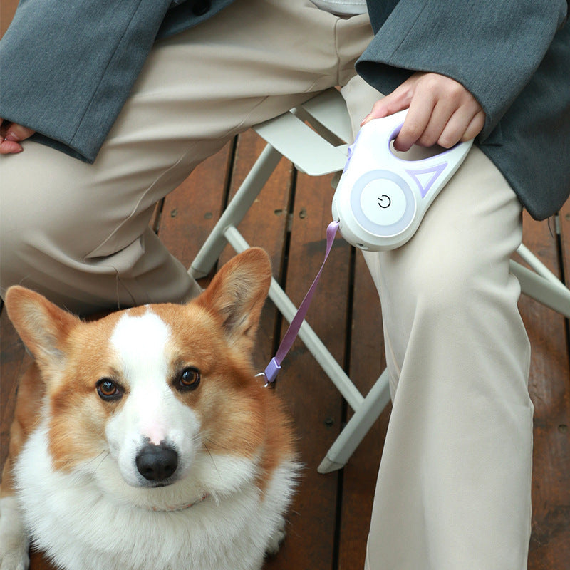 Dog Leash Retractable Walk smarter, not harder _light the way and lead with ease.